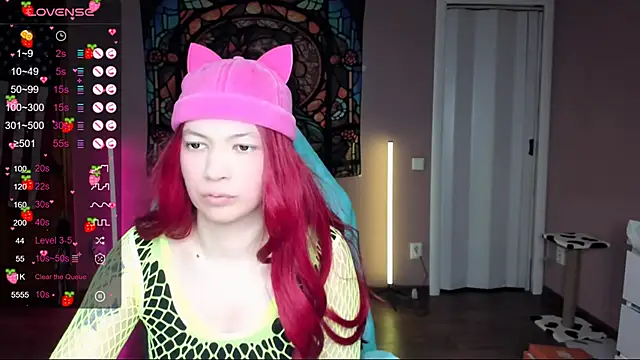 Project hisoka online show from February 2025 02:47:02 AM