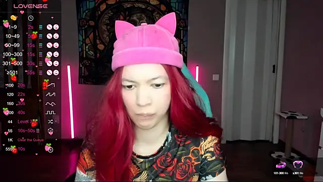 Project hisoka online show from February 2025 01:21:01 PM