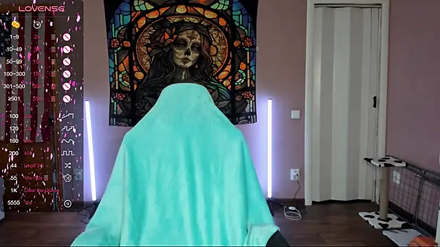 Project hisoka online show from March 2025 04:57:02 AM