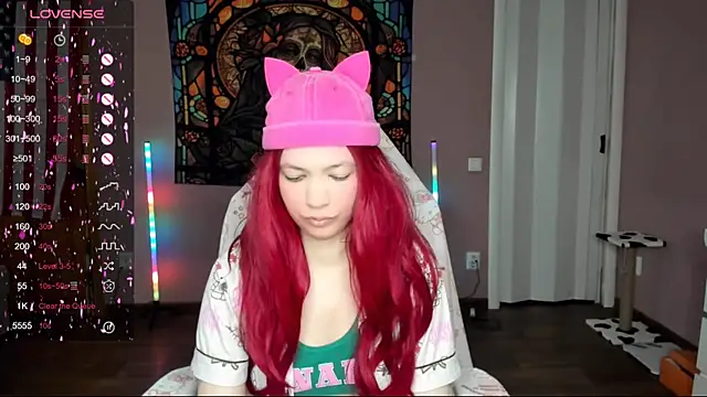 Project hisoka online show from March 2025 05:00:02 AM