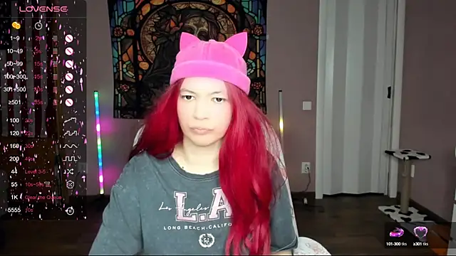 Project hisoka online show from March 2025 02:59:01 PM