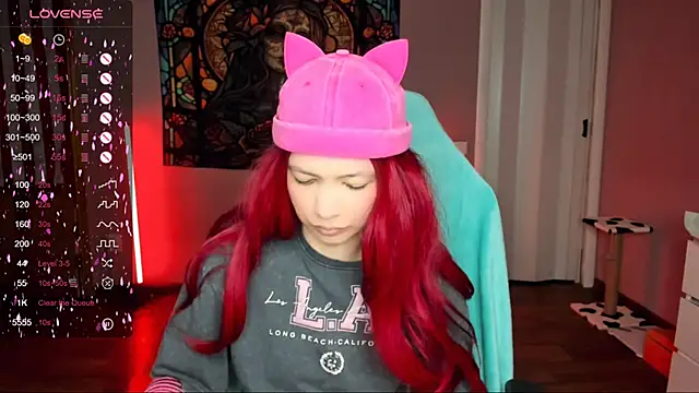 Project hisoka online show from March 2025 12:23:02 PM