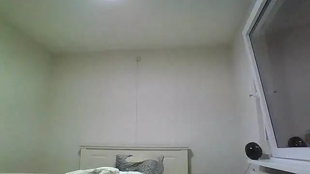 Snapshot of Wesleymodel chatting on February 2026 07:18:01 PM Wesleymodel online show from February 2026 07:18:01 PM