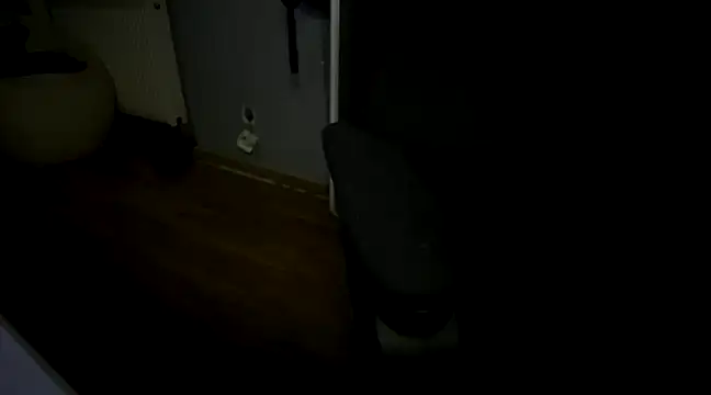 Snapshot of needride_virgin chatting on January 2025 06:17:01 AM needride virgin online show from January 2025 06:17:01 AM