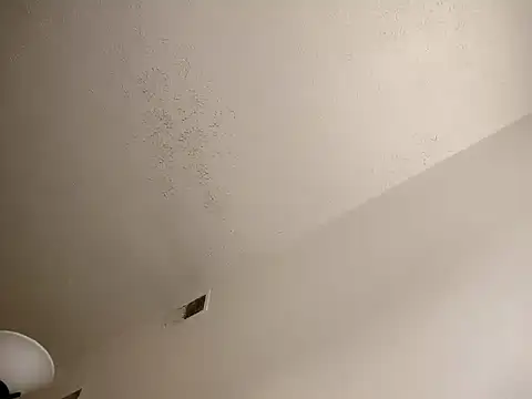 Barrentine88 online show from March 2025 10:37:01 PM