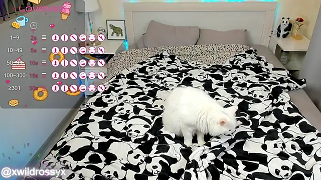 wildrossy online show from October 2025 06:24:01 AM