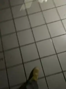 nowex18 online show from February 2026 04:53:02 AM