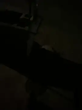 nowex18 online show from March 2026 06:41:02 AM