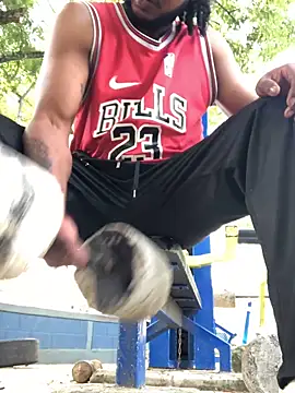 gavi 19cm online show from February 2026 02:21:02 PM