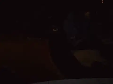 0815lukas2024 online show from January 2025 06:59:01 PM