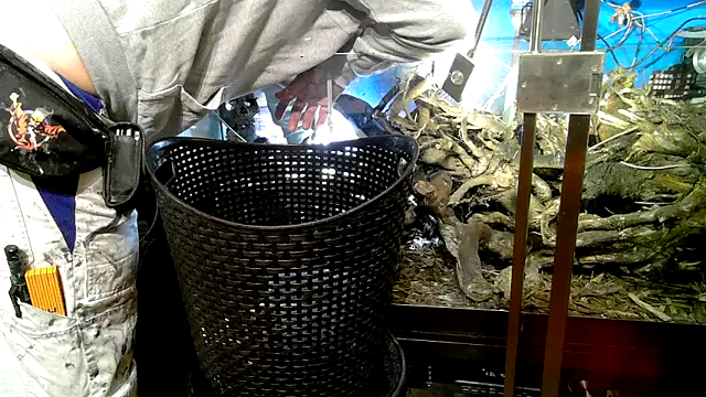 0815lukas2024 online show from October 2025 09:23:01 PM