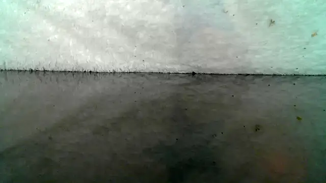 0815lukas2024 online show from October 2025 09:03:01 PM