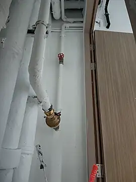 2tomka52052sex online show from January 2025 07:03:01 AM