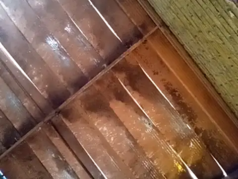 Pablunt-rap online show from November 2025 02:16:01 PM