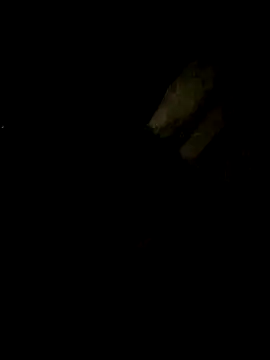 Tamil boy age28 online show from February 2025 05:24:01 PM