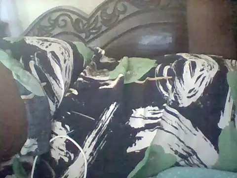 missarpie online show from February 2026 05:23:01 AM