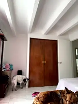 Salome golvert online show from January 2026 03:48:02 PM