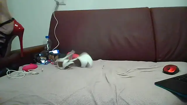 Danielasexy74 online show from November 2025 04:38:02 PM