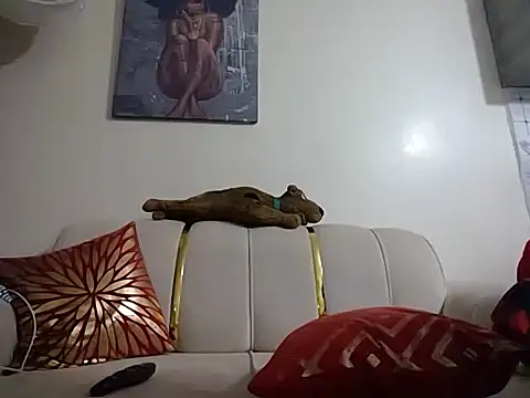 hoely grail01 online show from April 2026 08:20:01 PM