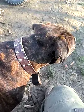 mitulik84 online show from December 2025 11:50:02 AM