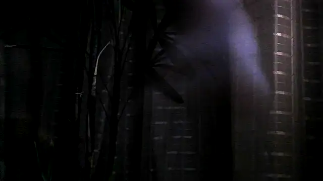 Snapshot of funguybr36 chatting on September 2025 11:00:02 AM funguybr36 online show from September 2025 11:00:02 AM