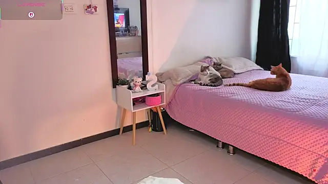 serenna se online show from March 2026 08:31:01 PM