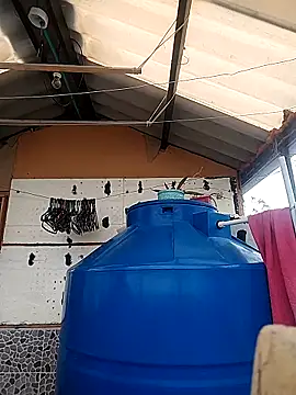 rebekka simpson online show from October 2025 04:08:01 PM