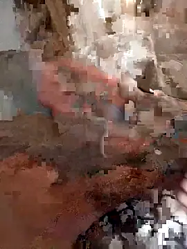 Din0071 online show from December 2025 03:31:01 PM