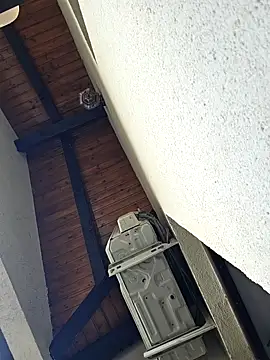 lovewildguy1 online show from March 2025 06:47:02 AM