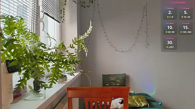 monlight  dana online show from January 2025 11:54:02 AM