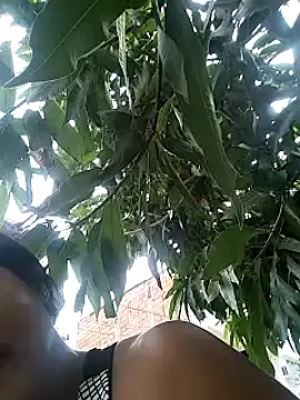 Berry Bans online show from March 2025 08:32:02 PM