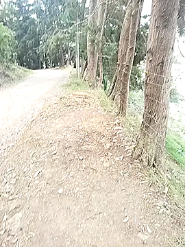 Demiansteven2 online show from March 2026 04:24:01 PM