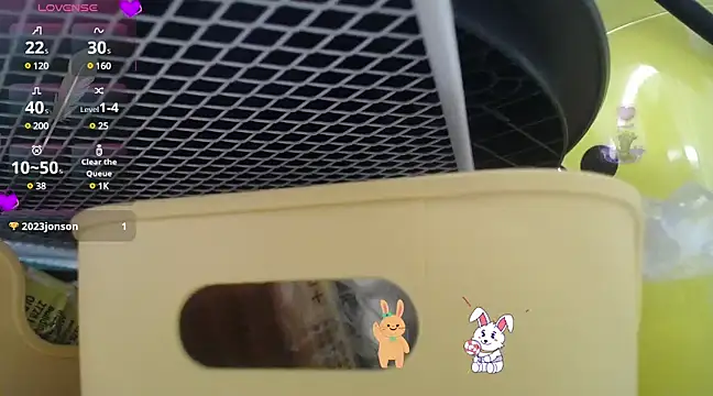 Snapshot of Lovensetest chatting on December 2024 10:06:02 AM Lovensetest online show from December 2024 10:06:02 AM