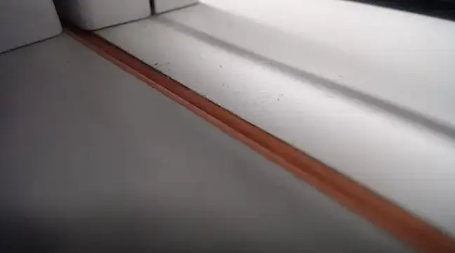 Snapshot of Lovensetest chatting on February 2025 09:21:01 AM Lovensetest online show from February 2025 09:21:01 AM