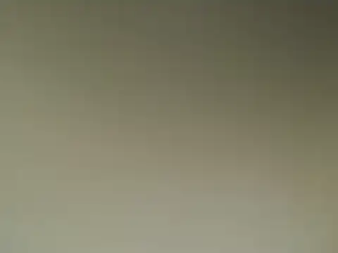 Snapshot of Lovensetest chatting on March 2025 05:43:02 AM Lovensetest online show from March 2025 05:43:02 AM