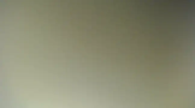 Snapshot of Lovensetest chatting on March 2025 10:36:01 AM Lovensetest online show from March 2025 10:36:01 AM