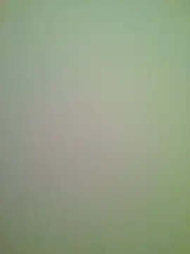 Snapshot of Lovensetest chatting on February 2026 01:01:02 AM Lovensetest online show from February 2026 01:01:02 AM