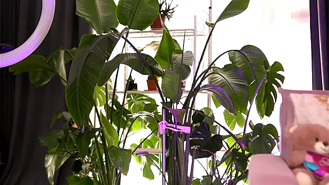 EmilyRaymont online show from September 2025 05:20:02 AM