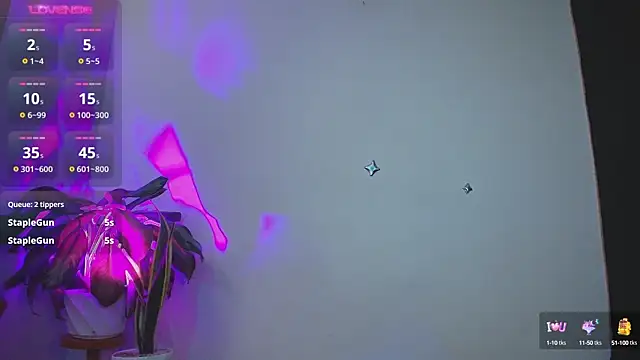 Snapshot of ValenGray chatting on March 2025 02:03:01 PM ValenGray online show from March 2025 02:03:01 PM