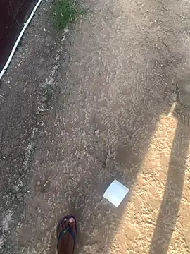 DManL online show from November 2025 04:44:02 AM