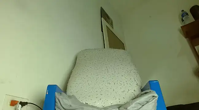 Snapshot of badanyboy chatting on February 2025 03:33:01 AM badanyboy online show from February 2025 03:33:01 AM