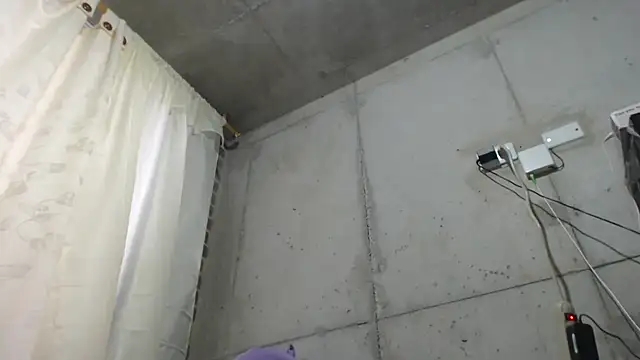 v violeta online show from March 2026 11:04:01 AM