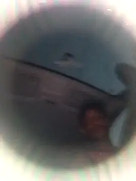 Ursonego online show from October 2025 10:07:01 PM