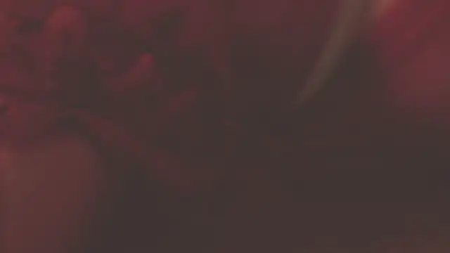 oxiris 1 online show from January 2025 01:48:01 AM