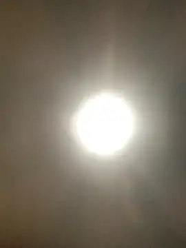 valleyoneofakind online show from October 2025 03:34:04 PM