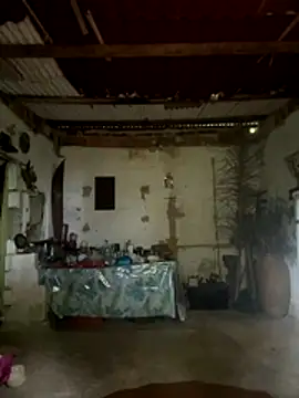 amy gata online show from November 2025 10:12:02 AM