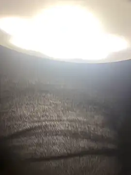 amy gata online show from February 2026 08:52:01 AM