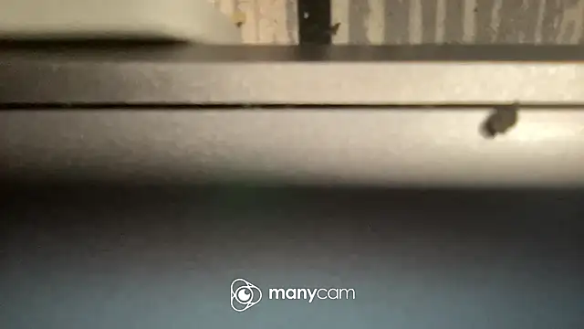 flexingplexico online show from February 2025 11:43:02 AM