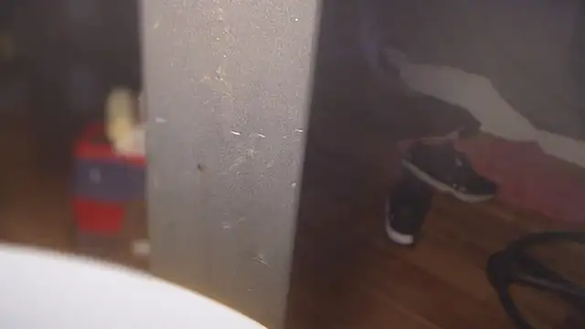 flexingplexico online show from March 2025 05:27:02 PM