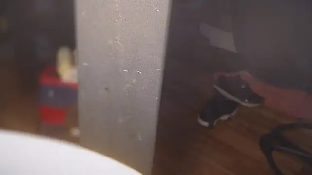 flexingplexico online show from March 2025 08:31:02 PM